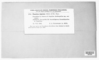 Fusoidiella depressa image